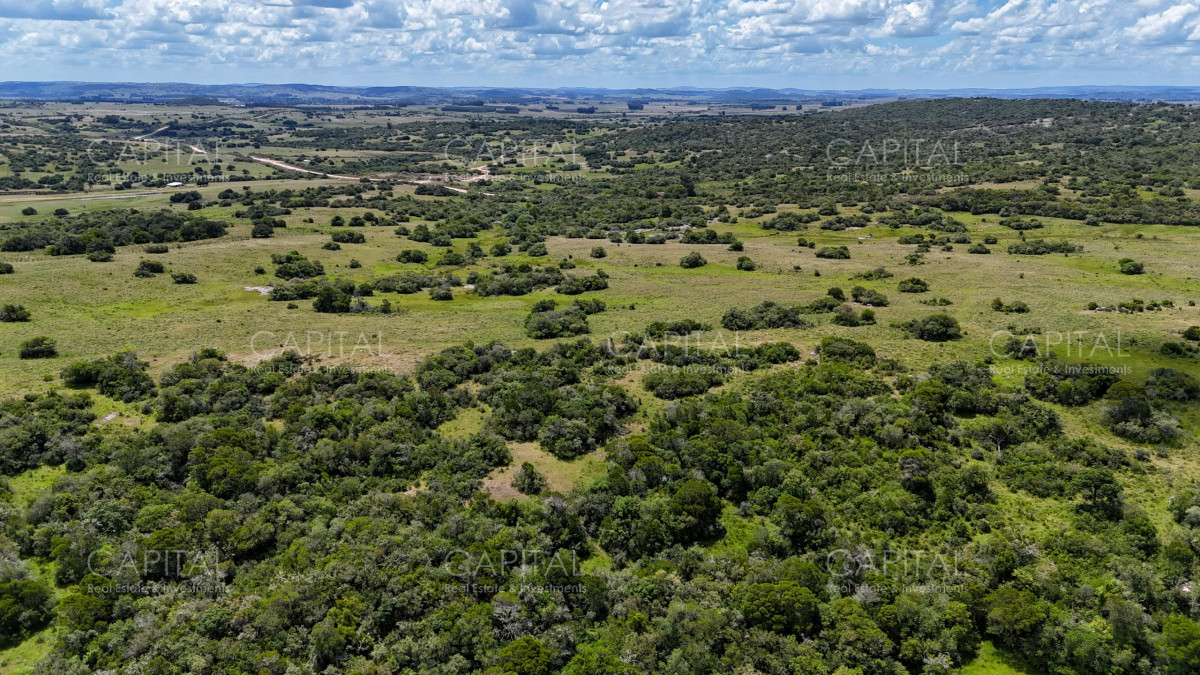 Campo Ref.38259 - CAMPO 55 has próximo a Aiguá