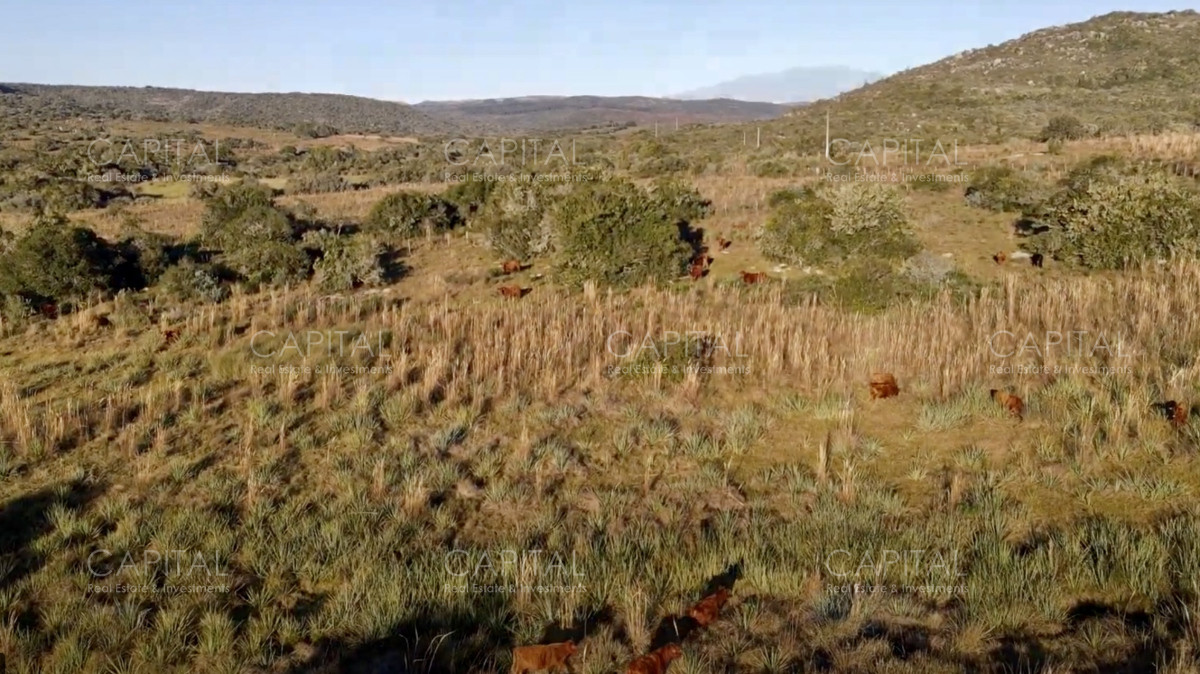 Campo Ref.37919 - Pintoresco Campo en venta con ubicación y entorno privilegiado