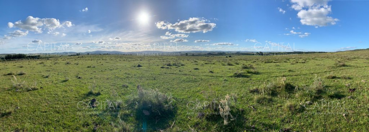 Campo Ref.33123 - Campo ganadero a 20km de San Carlos