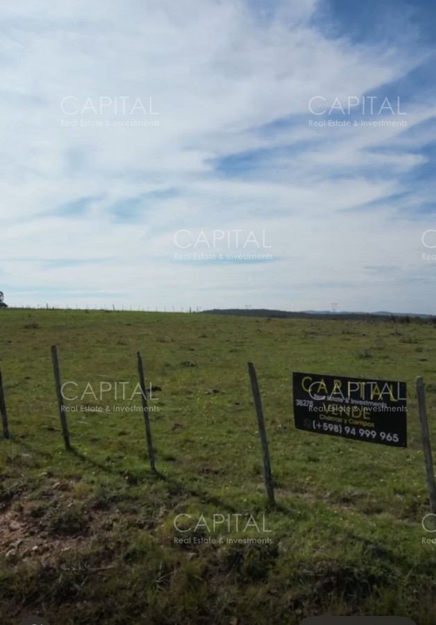 Campo Ref.38276 - OPORTUNIDAD ! Campo 103 has próximo a San Carlos ruta 39