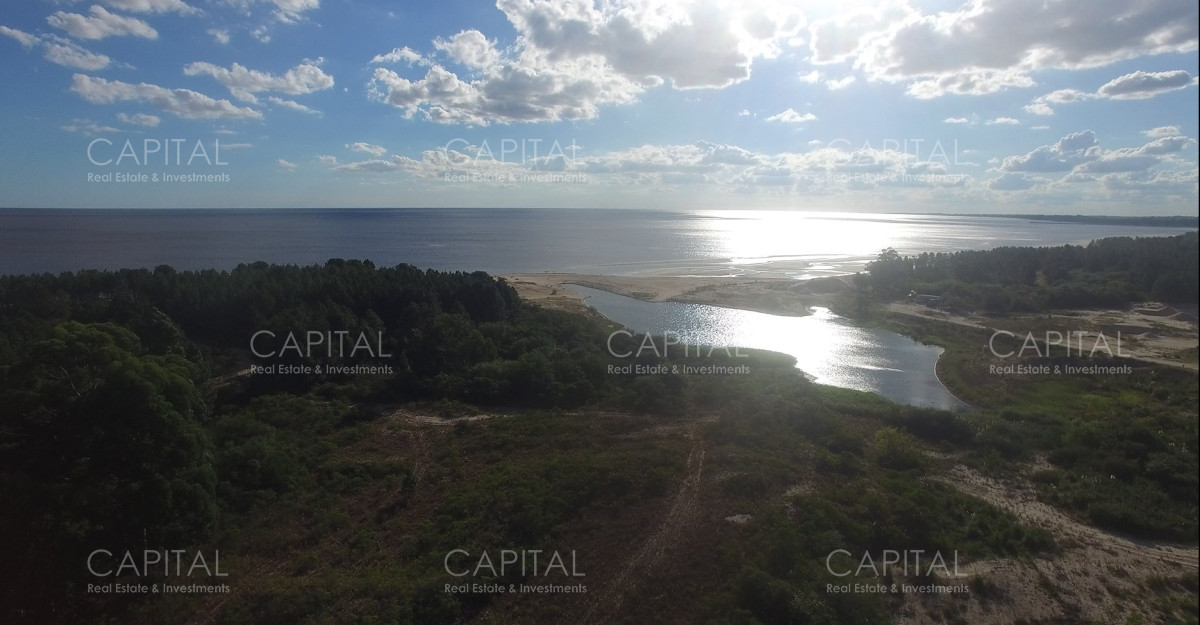 Campo Ref.29281 - Campo de 174 has Sobre el Rio de La Plata en Venta