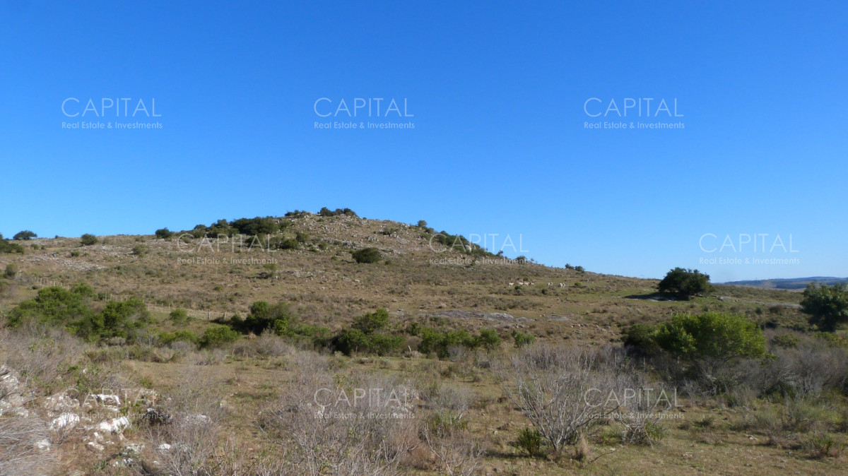 Campo Ref.33123 - Campo ganadero a 20km de San Carlos