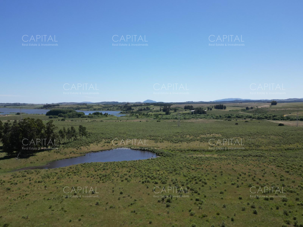 Campo Ref.37301 - ESPECTACULAR CAMPO DE 124 has . LAGUNA DEL SAUCE 