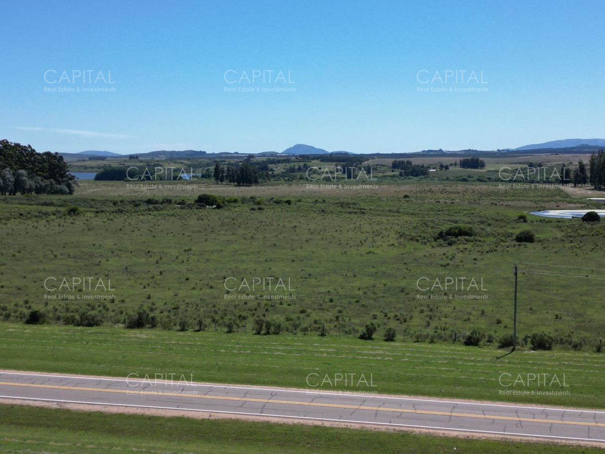 Campo Ref.37301 - ESPECTACULAR CAMPO DE 124 has . LAGUNA DEL SAUCE 
