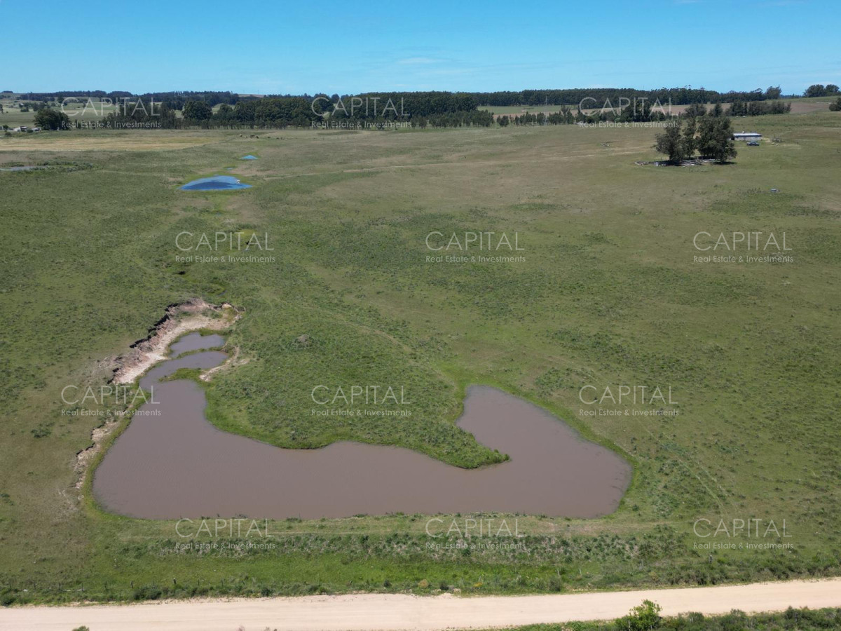 Campo Ref.37183 - Campo 23 has Eguzquiza