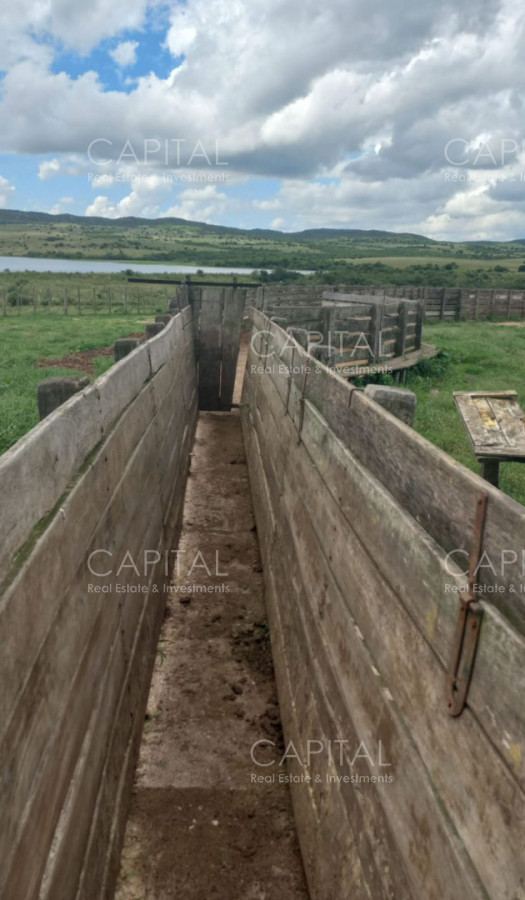 Campo Ref.37561 - CAMPO AGRÍCOLA - GANADERO + de 3000 has - Cerro Largo