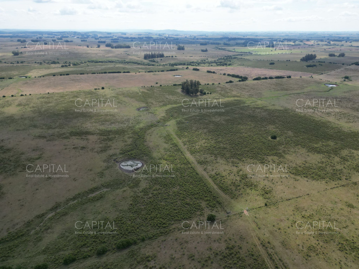 Campo Ref.37864 - Campo 84 has Abras de Perdomo 
