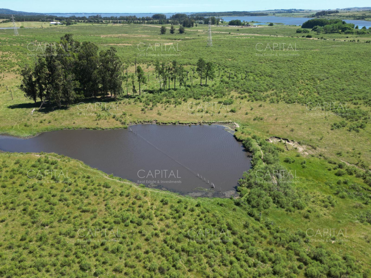 Campo Ref.37223 - Campo en venta en Laguna del Sauce, Punta del Este