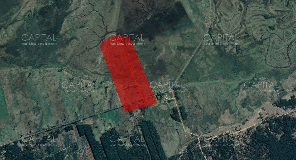 Campo Ref.32475 - Campo en venta de 60 has en Rocha 