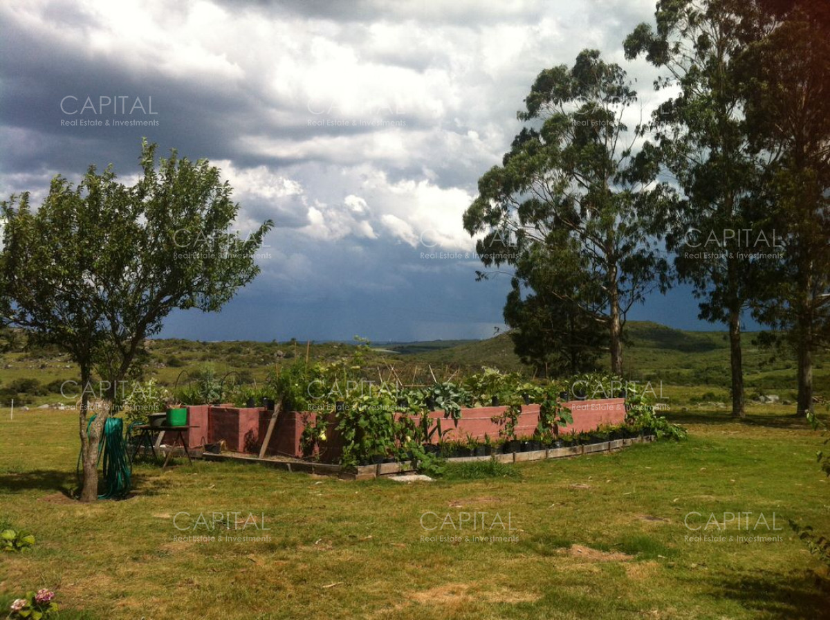 Campo Ref.37919 - Pintoresco Campo en venta con ubicación y entorno privilegiado