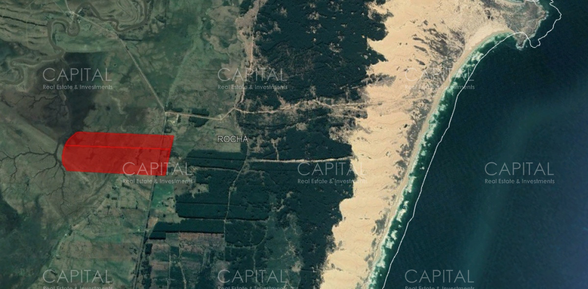 Campo Ref.32475 - Campo en venta de 60 has en Rocha 