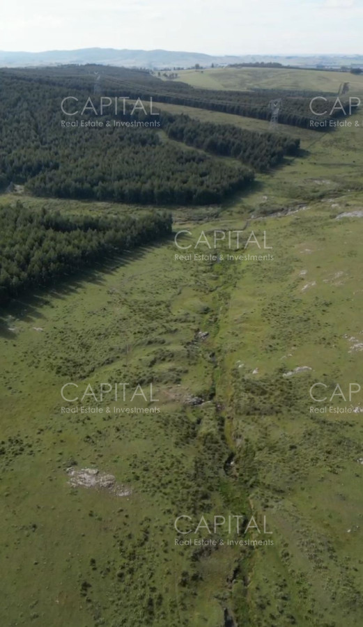 Campo Ref.38276 - OPORTUNIDAD ! Campo 103 has próximo a San Carlos ruta 39