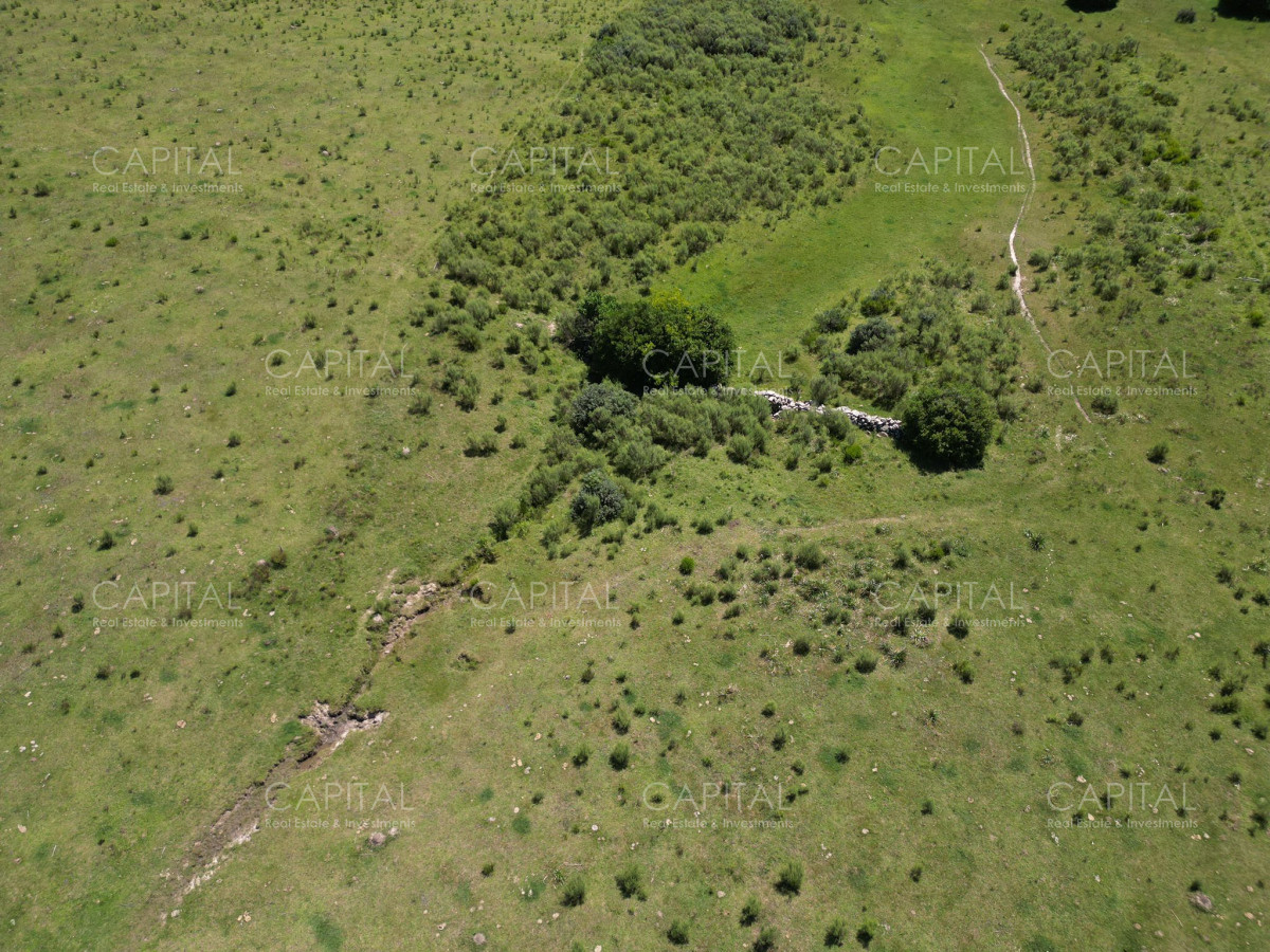 Campo Ref.37301 - ESPECTACULAR CAMPO DE 124 has . LAGUNA DEL SAUCE 