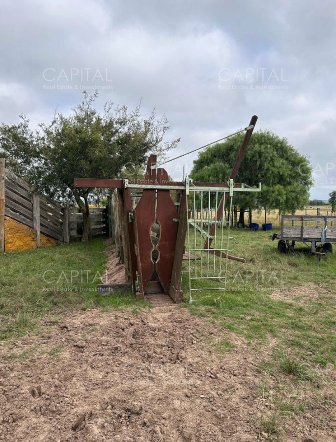Campo Ref.37314 - Venta Campo Sarandí Grande Florida