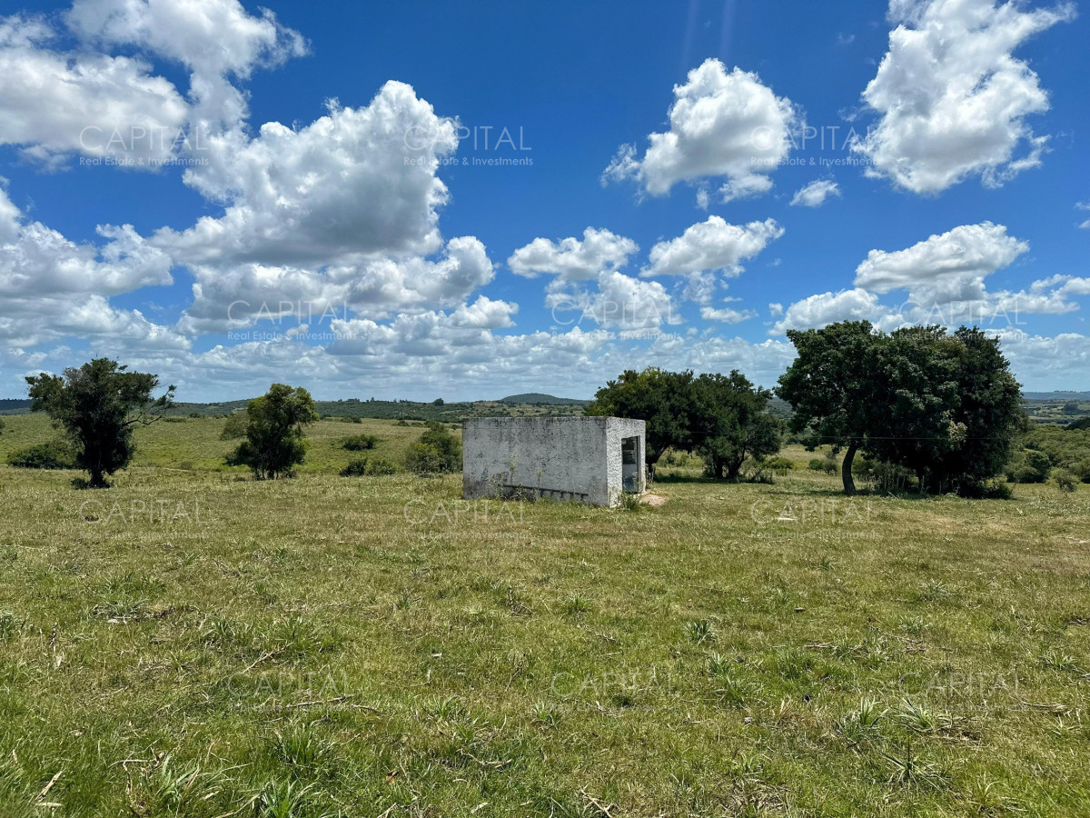 Campo Ref.38259 - CAMPO 55 has próximo a Aiguá