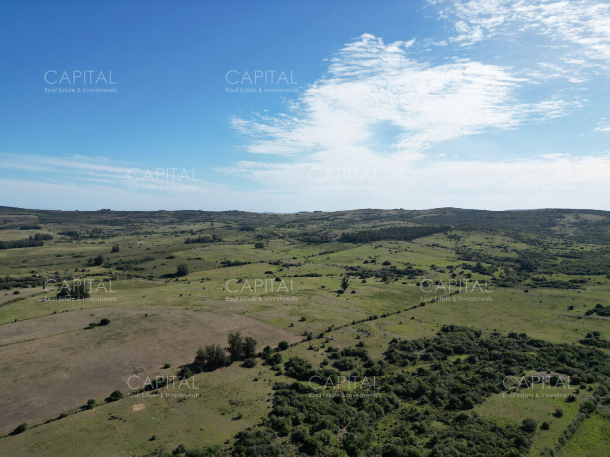 Campo Ref.39644 - Campo en venta Pueblo Edén 69 has 