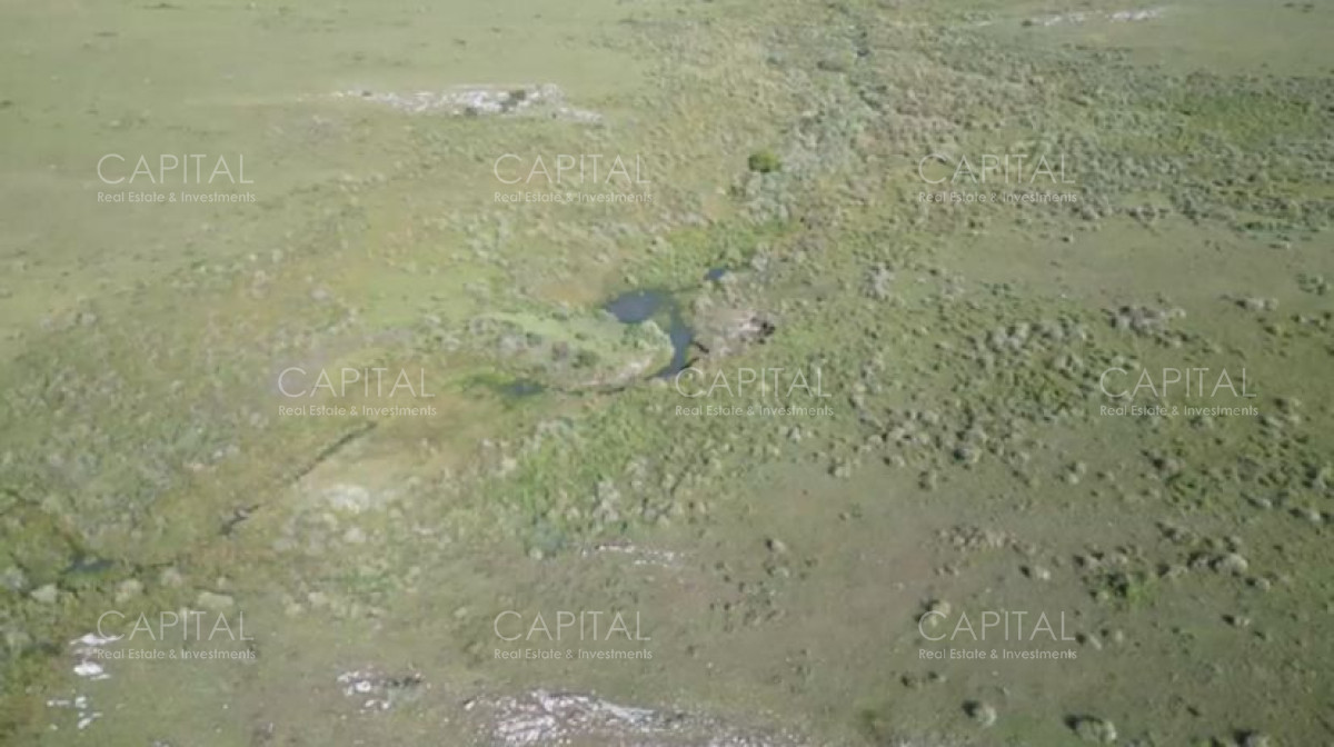 Campo Ref.38276 - OPORTUNIDAD ! Campo 103 has próximo a San Carlos ruta 39