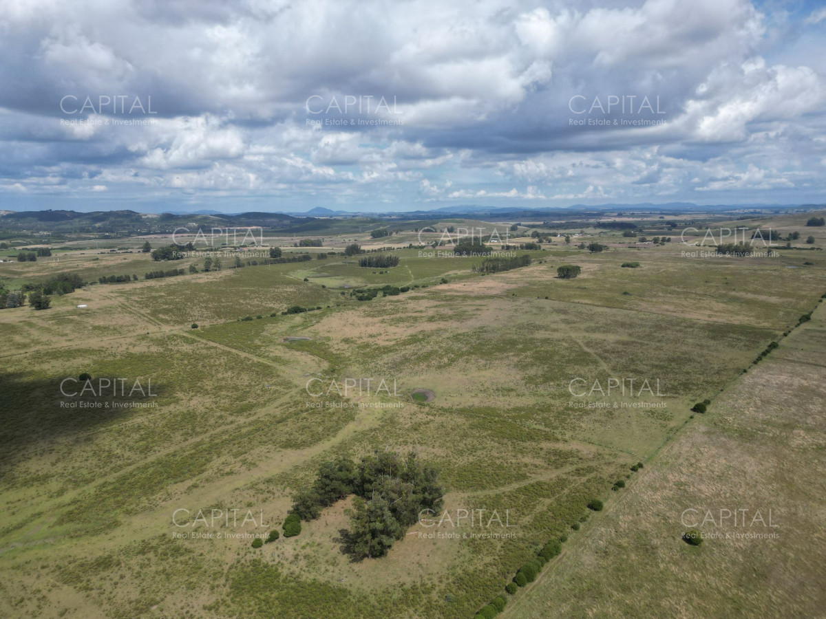 Campo Ref.37864 - Campo 84 has Abras de Perdomo 