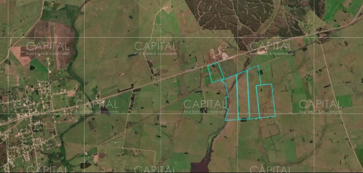 Campo ganadero - agrícola , 122has -  Treinta y tres - en exclusividad   - CCP38589P
