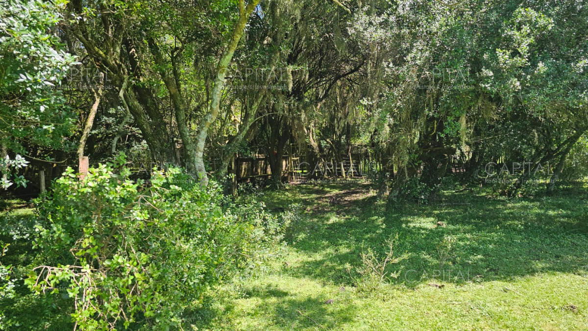 Campo Ref.38588 - OPORTUNIDAD Campo criador 370 Has - Treinta y Tres 