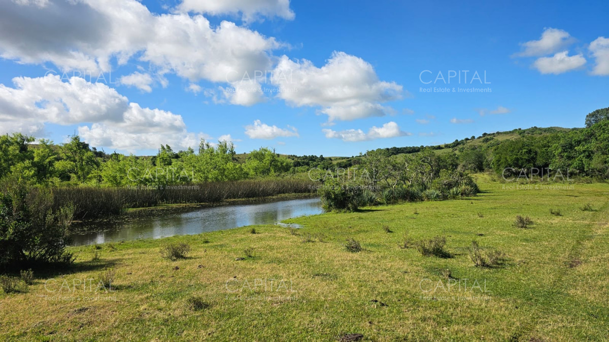 Campo Ref.38588 - OPORTUNIDAD Campo criador 370 Has - Treinta y Tres 