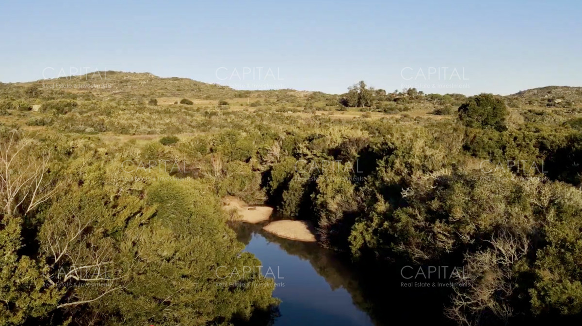 Campo Ref.37919 - Pintoresco Campo en venta con ubicación y entorno privilegiado