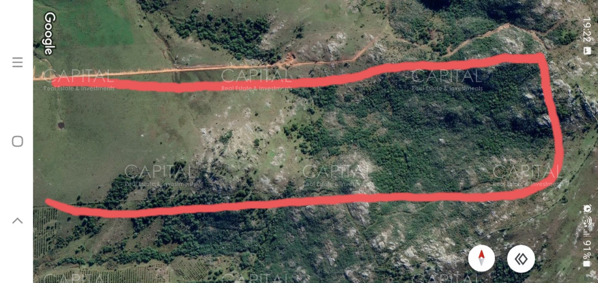 Campo Ref.33123 - Campo ganadero a 20km de San Carlos