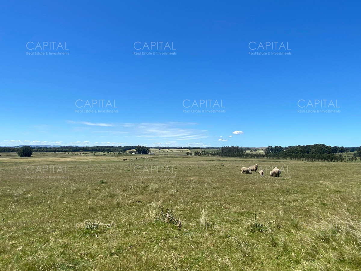 Campo Ref.37183 - Campo 23 has Eguzquiza