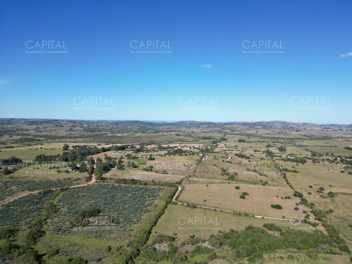 Campo Ref.39644 - Campo en venta Pueblo Edén 69 has 