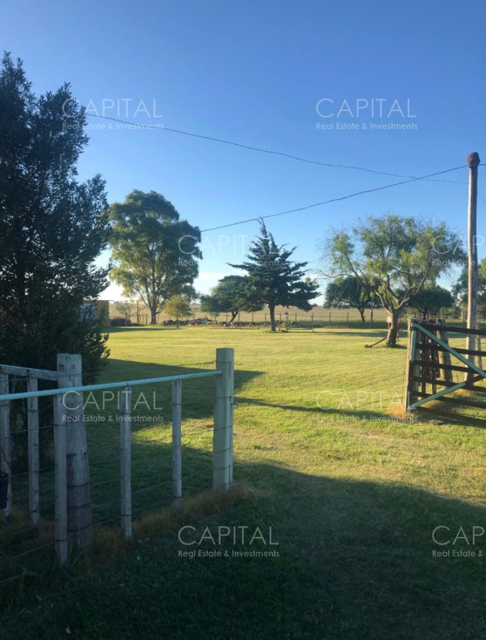 Campo Ref.37314 - Venta Campo Sarandí Grande Florida