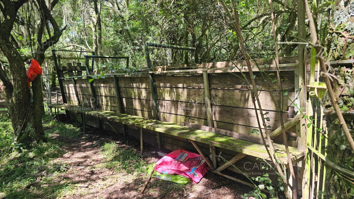 Campo Ref.38588 - OPORTUNIDAD Campo criador 370 Has - Treinta y Tres 