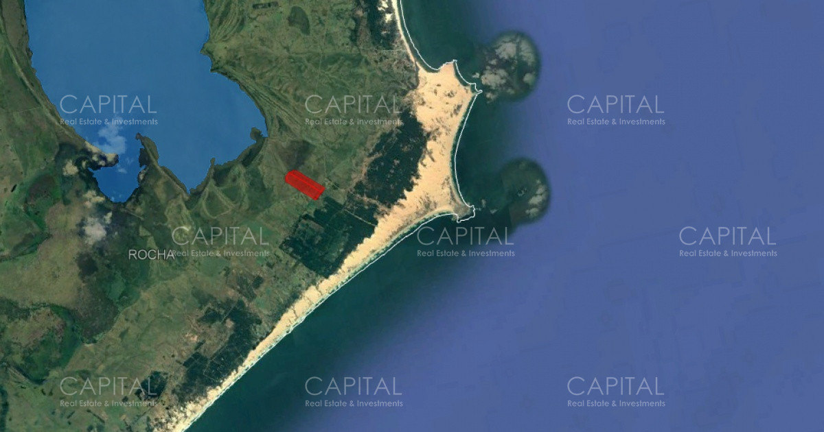 Campo Ref.32475 - Campo en venta de 60 has en Rocha 