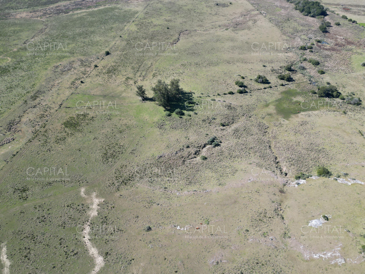 Campo Ref.38878 - OPORTUNIDAD!! Campo 47has a minutos de Punta del Este 