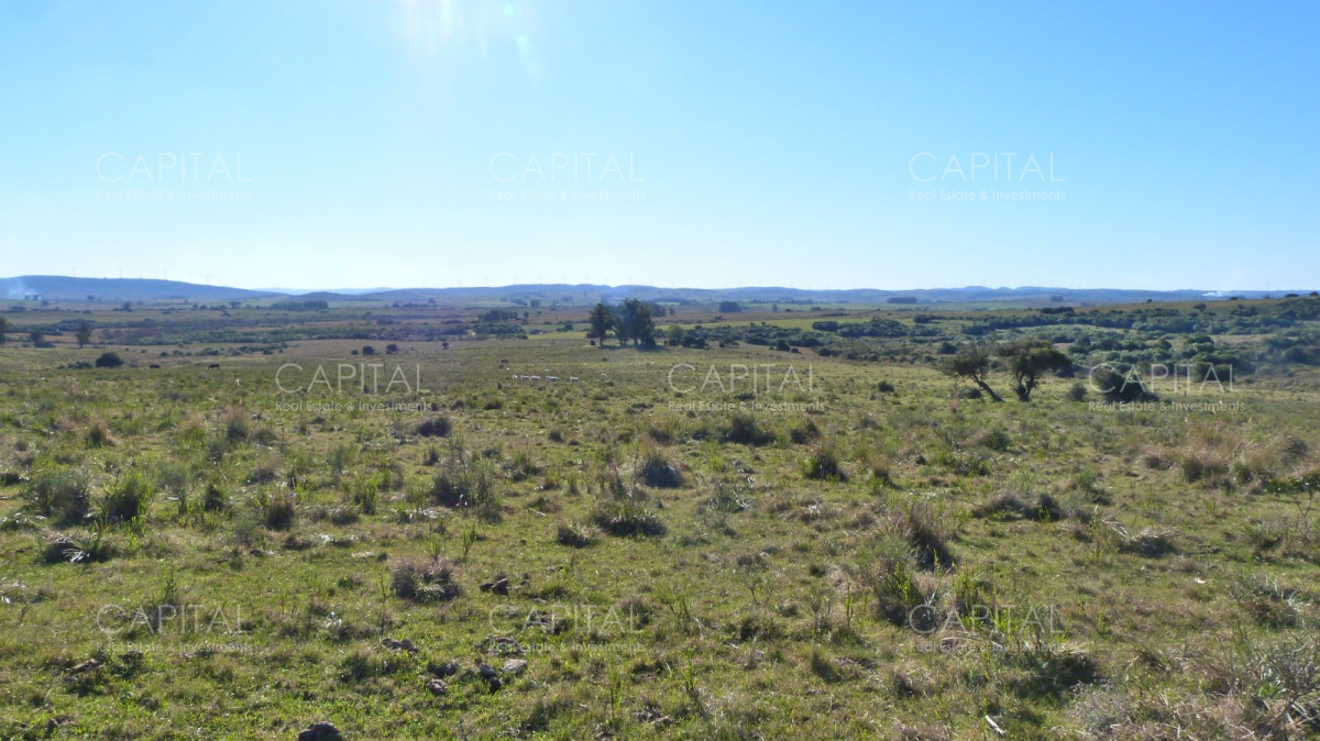 Campo Ref.33123 - Campo ganadero a 20km de San Carlos
