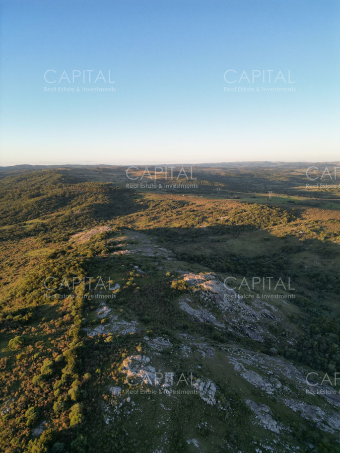 Campo Ref.36720 - Pintoresco Campo 55 Has - Sierra de los Caracoles 
