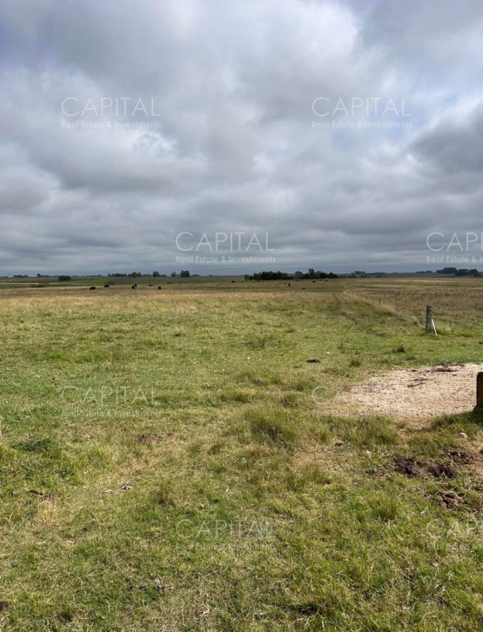 Campo Ref.37314 - Venta Campo Sarandí Grande Florida