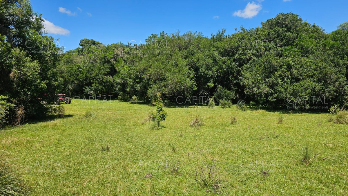 Campo Ref.38588 - OPORTUNIDAD Campo criador 370 Has - Treinta y Tres 