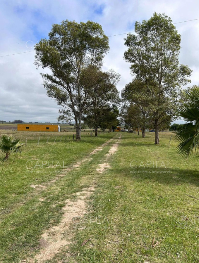 Campo Ref.37314 - Venta Campo Sarandí Grande Florida