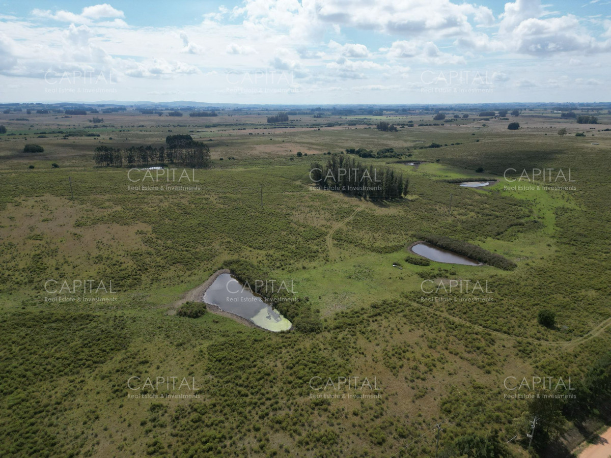 Campo Ref.37864 - Campo 84 has Abras de Perdomo 