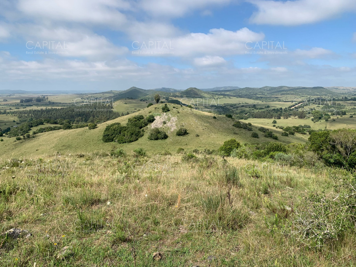 Campo 39 has. próximo a Aiguá  - CCP37911P