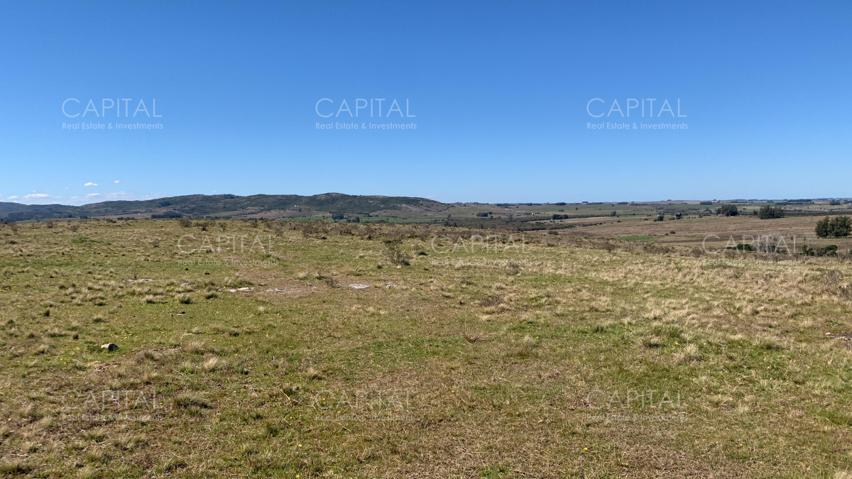 Campo Ref.38878 - OPORTUNIDAD!! Campo 47has a minutos de Punta del Este 