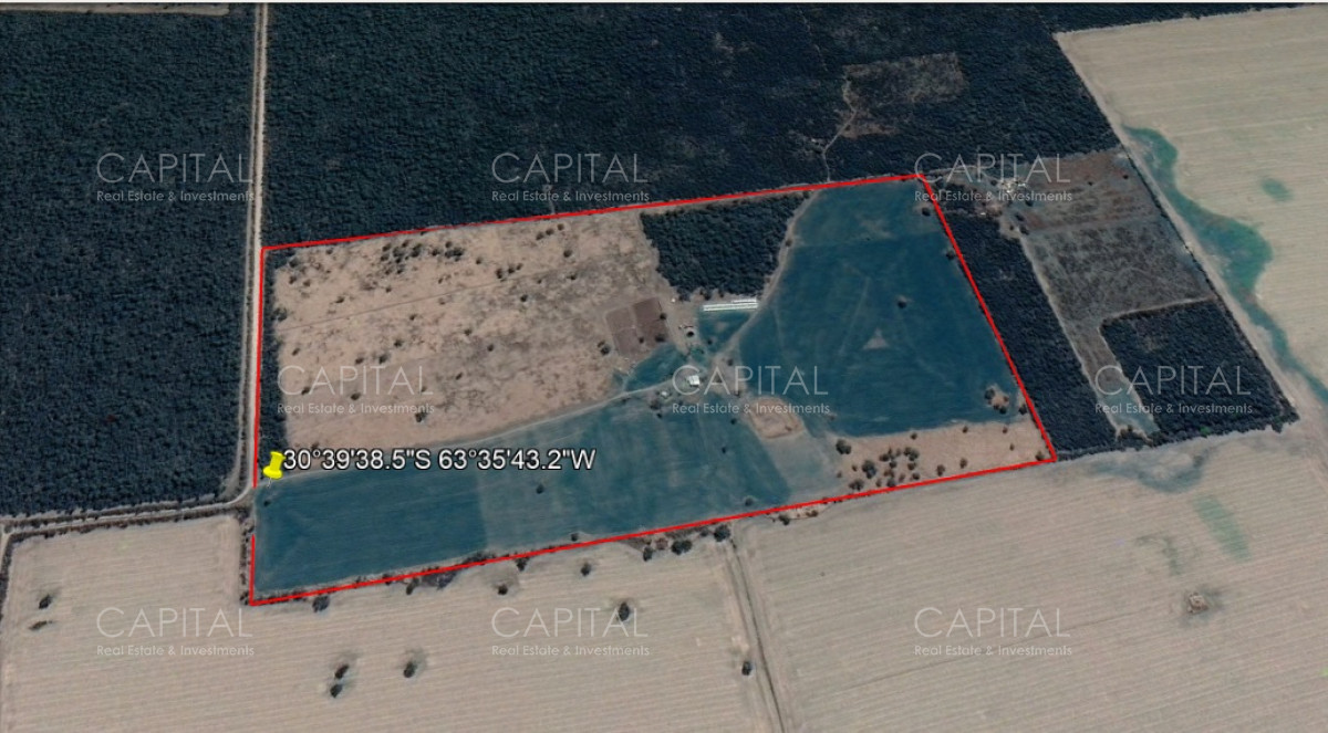 Campo Ref.28995 - Venta de Campo Agrícola en Córdoba con 40 hectáreas sembradas con Maíz Nidera 48-12