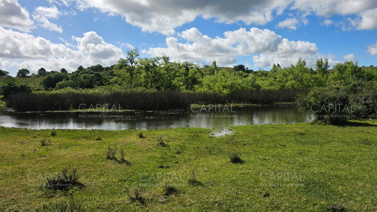 Campo Ref.38588 - OPORTUNIDAD Campo criador 370 Has - Treinta y Tres 