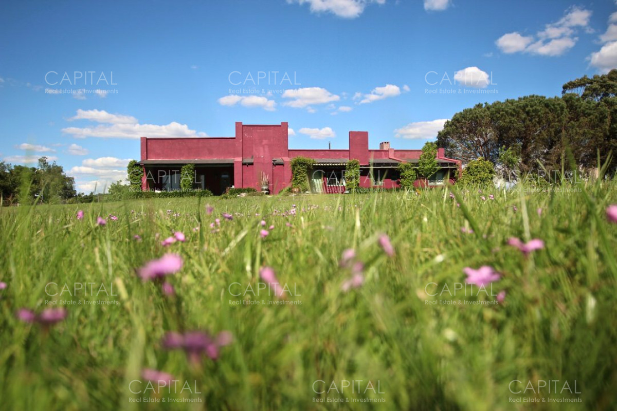 Campo Ref.37919 - Pintoresco Campo en venta con ubicación y entorno privilegiado