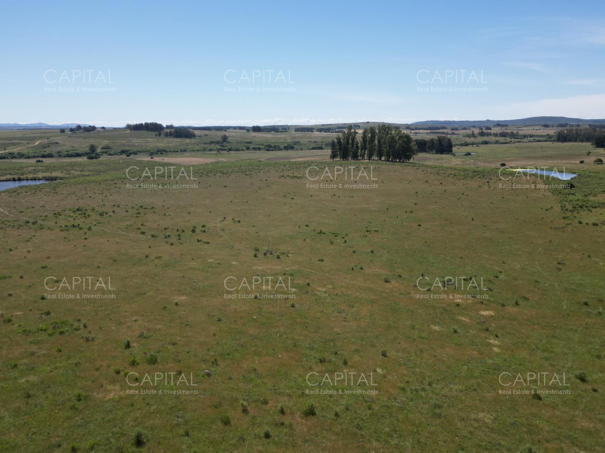 Campo Ref.37223 - Campo en venta en Laguna del Sauce, Punta del Este