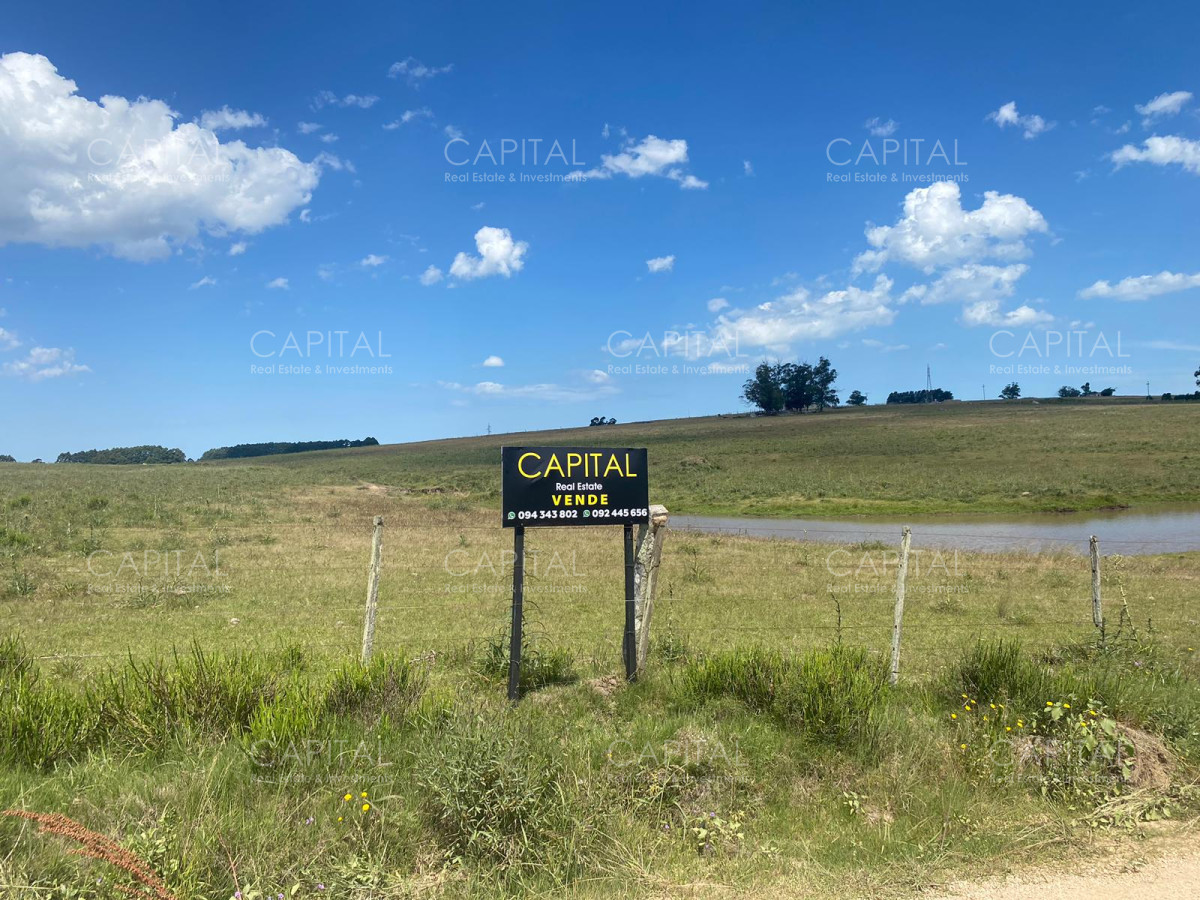 Campo Ref.37183 - Campo 23 has Eguzquiza