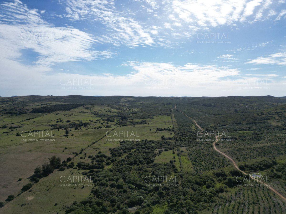 Campo Ref.39644 - Campo en venta Pueblo Edén 69 has 