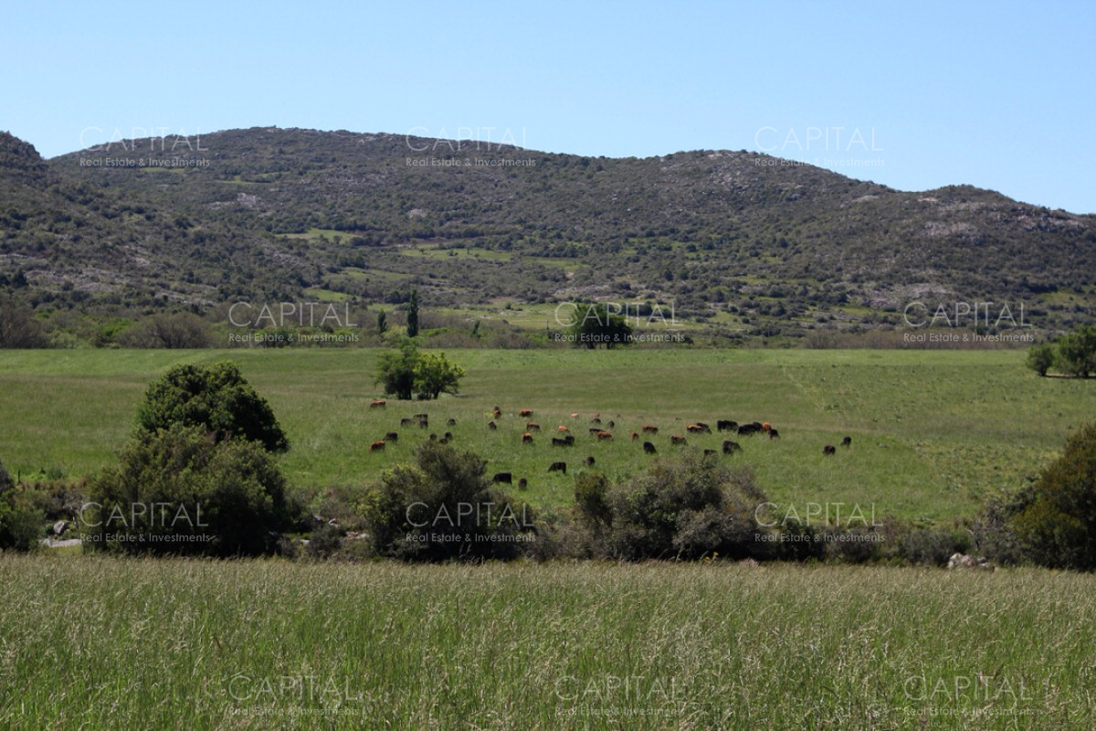 Campo Ref.37919 - Pintoresco Campo en venta con ubicación y entorno privilegiado