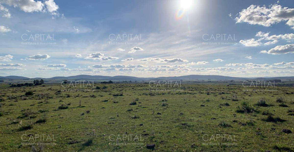 Campo Ref.33123 - Campo ganadero a 20km de San Carlos
