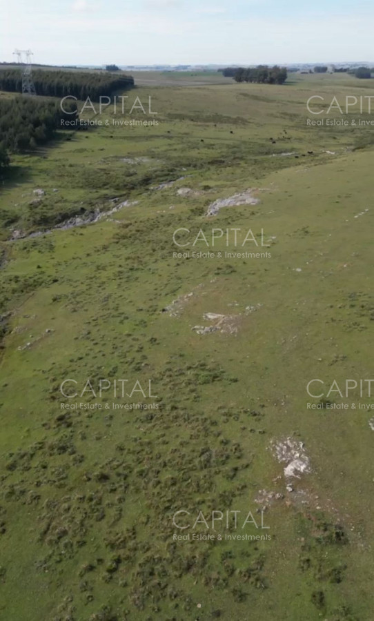 Campo Ref.38276 - OPORTUNIDAD ! Campo 103 has próximo a San Carlos ruta 39